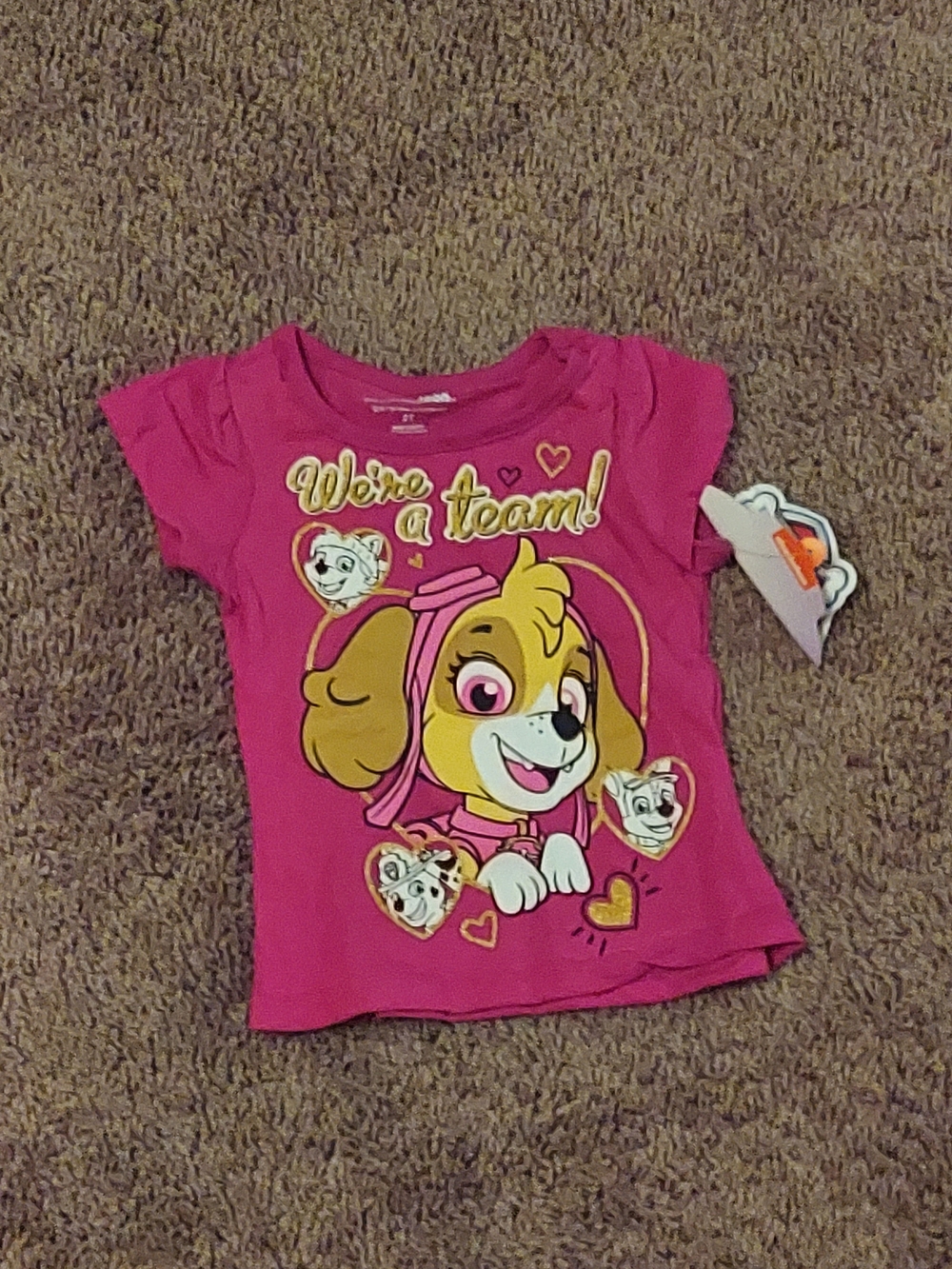 Pink Girls' 'We're a Team' Paw Patrol Skye Graphic Tee